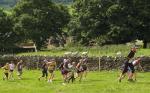 Herriot Run 2012 020 (Medium)